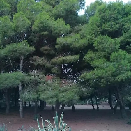 La Pineta Holiday home Favignana