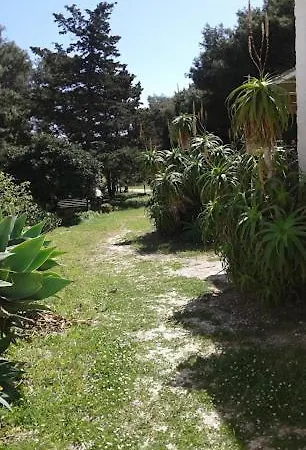 La Pineta *
