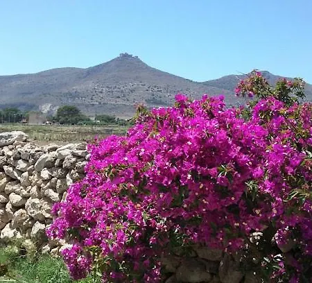 La Pineta *