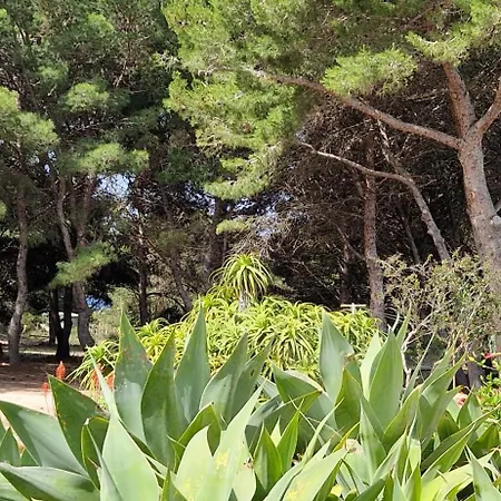 La Pineta Holiday home Favignana
