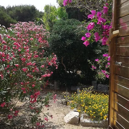 La Pineta