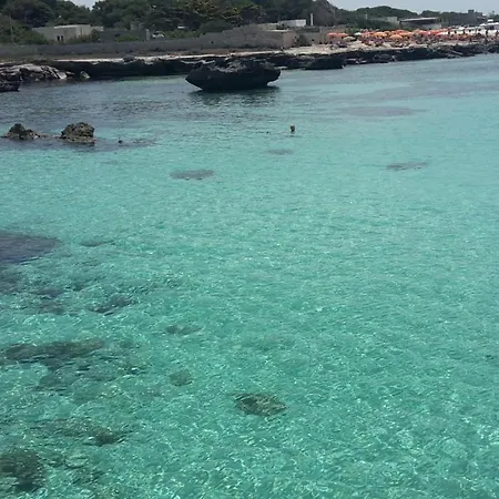 La Pineta Tatil Evi *