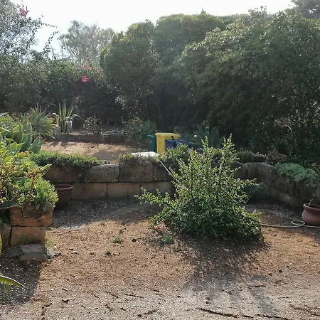 La Pineta Tatil Evi *