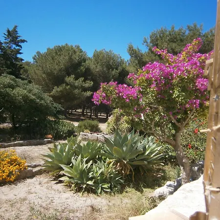 La Pineta * Favignana