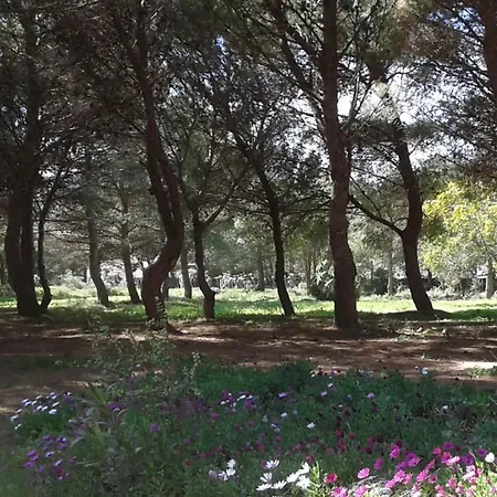 La Pineta Holiday home *